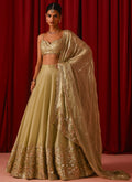 Light Green Embroidered Tissue Lehenga